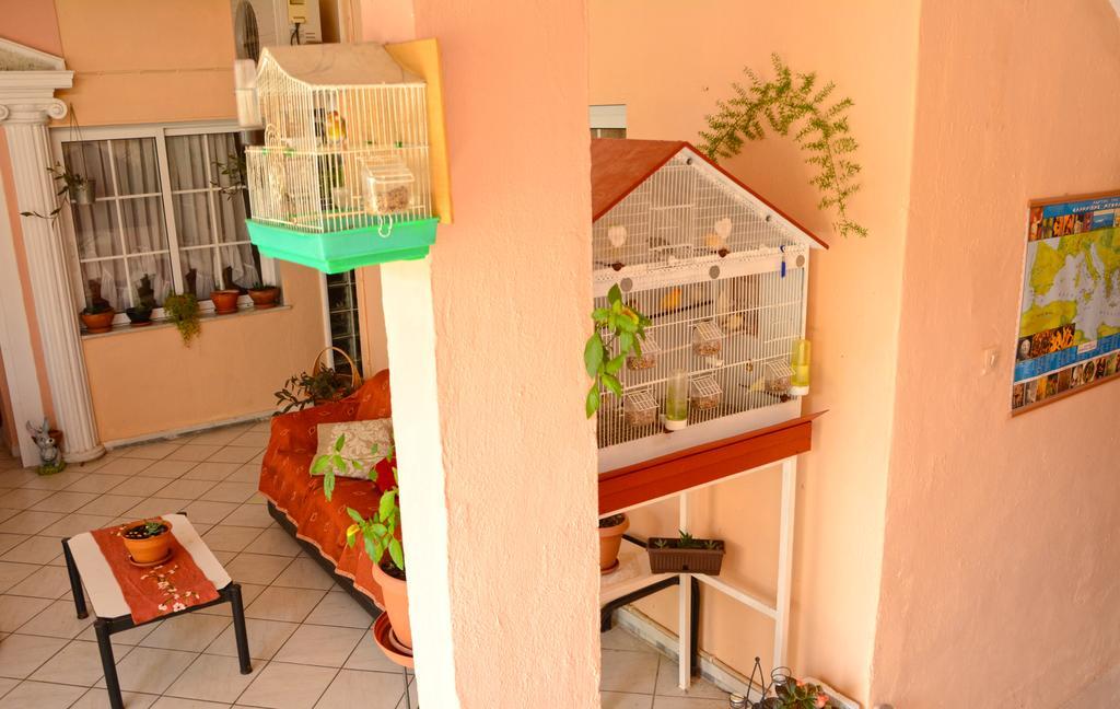 Hotel Dimitra Zeus Leptokaria Exteriér fotografie