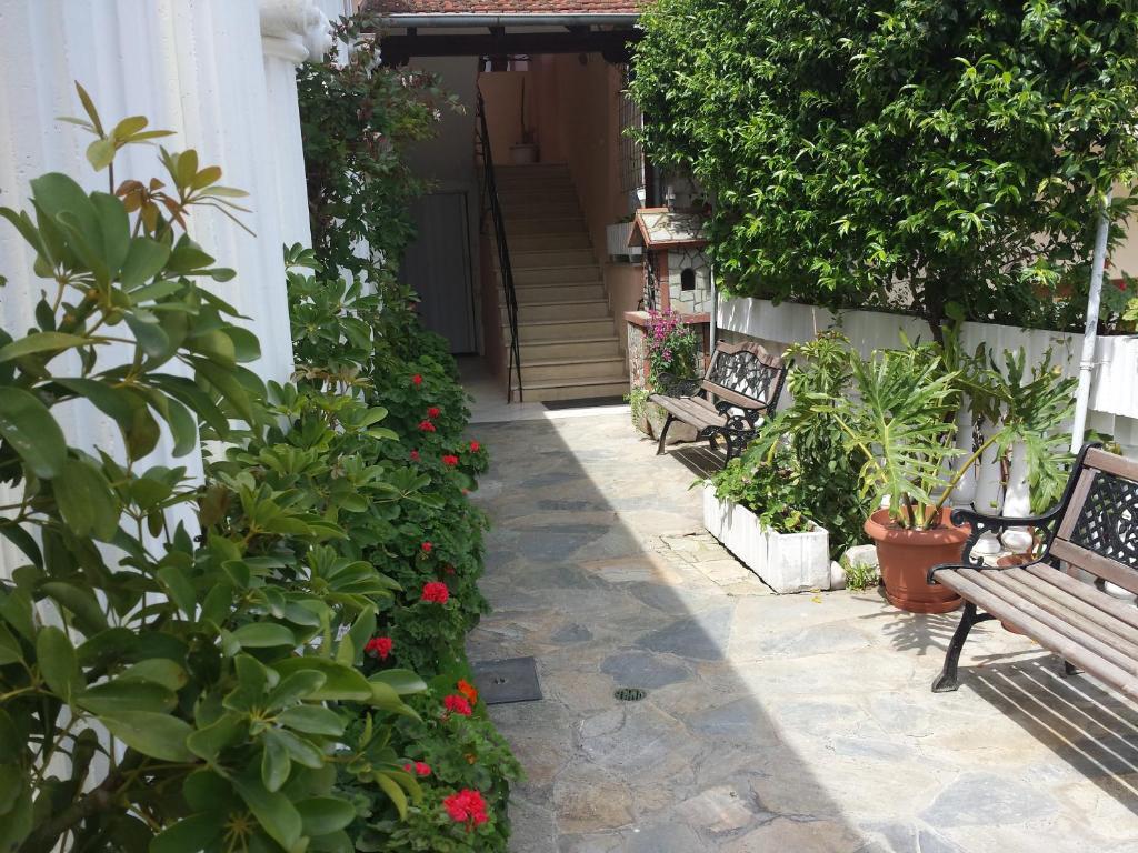 Hotel Dimitra Zeus Leptokaria Exteriér fotografie